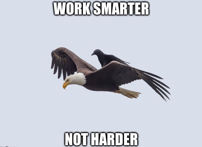 Work smarter not harder meme Work smarter not harder meme